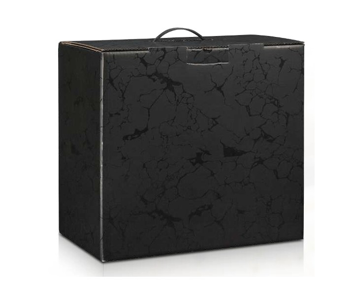 Caja Negra 2 bot. con asa  195x100x350mm 1u.