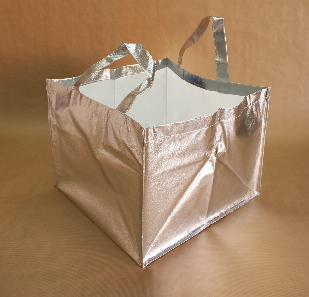 Bol. NT 120g. 48x38x38cm Plata 1u.