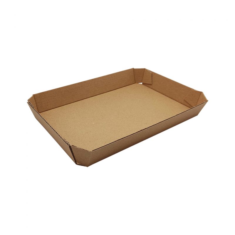 Bandeja Carton Microcanal 210x144x30mm 110u.