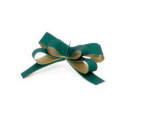 Lacito Adh. Tom 13mm Verde 2620 30u
