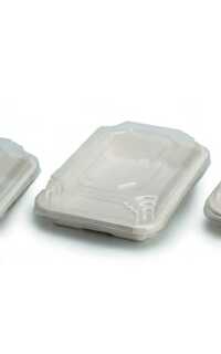 envase sushi caña azucar c/tapa 21.7x9cm 25u.*