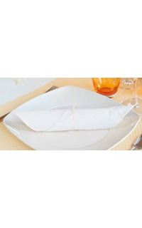 servilleta 20x20 blanca 2cap. cenefa 100u.