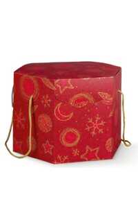 segreto esagono c/cord 300x300x240 red universe 2u