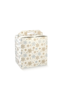 portapan 430x240x345mm crystal