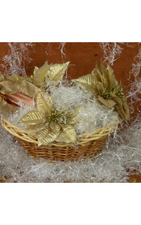 viruta transparente 1kg