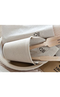 servilleta 17x17 miniservis feel green 200u.