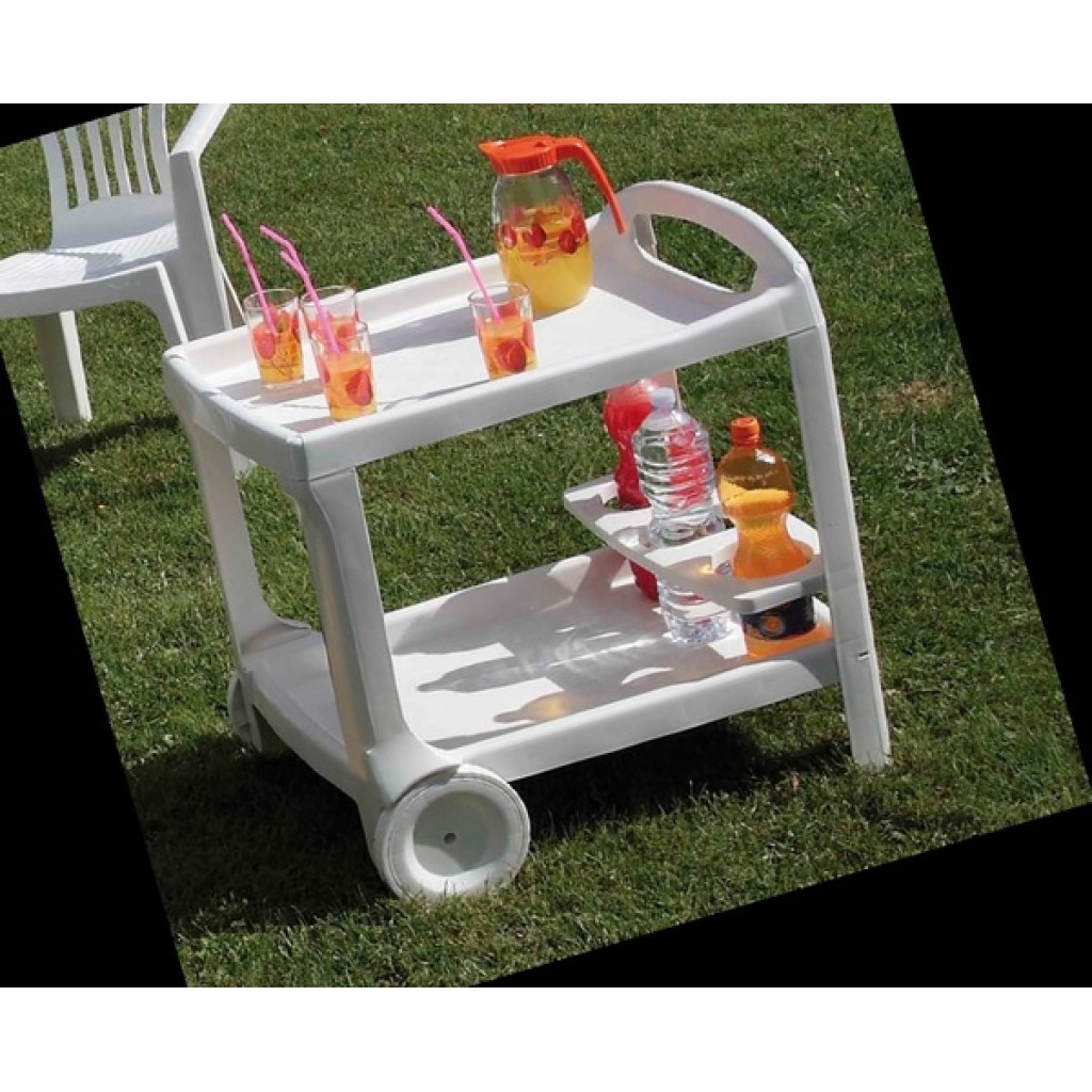 CHARIOT SERVEUR JARDIN   52X68X70 CM 2