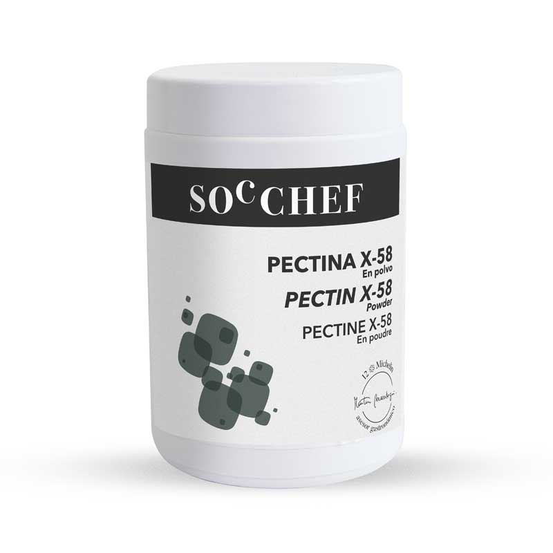 PECTINE X-58 800g [14-8286] : SocChefShop