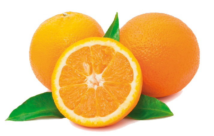 Naranjas de Valencia