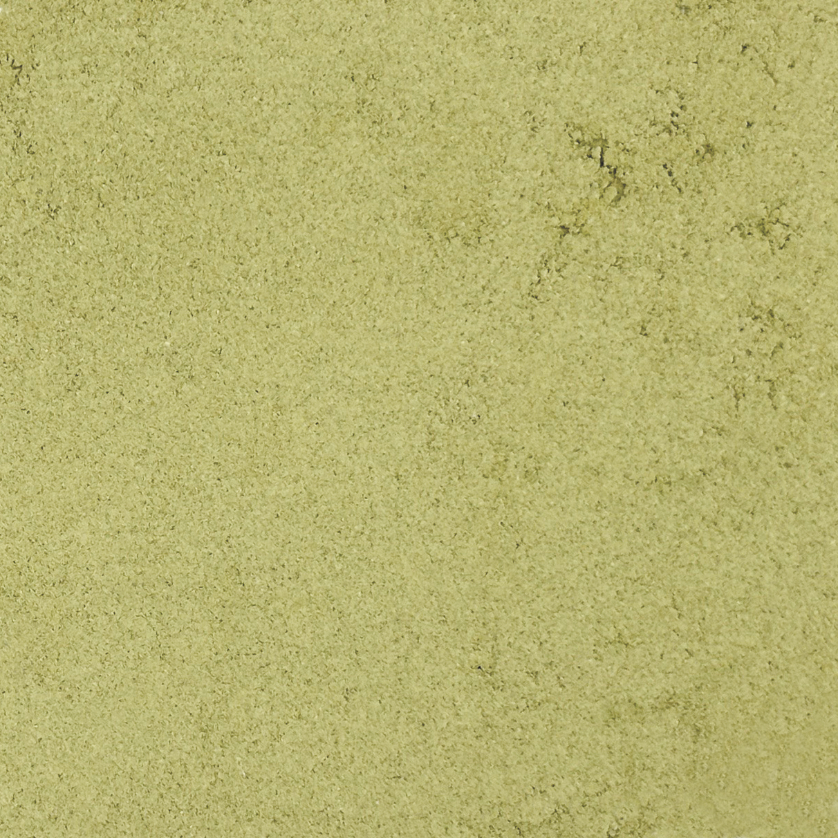WASABI 5kg 1