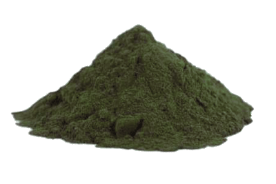 KOMBU POLVO 350g 1