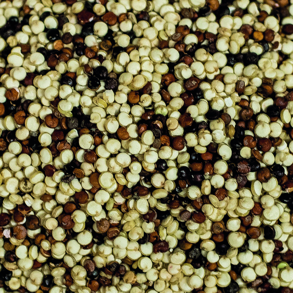 QUINOA TRICOLOR 5kg 1