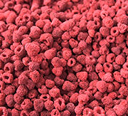 FRUTA Y VERDURA NATURAL LIOFILIZADAS