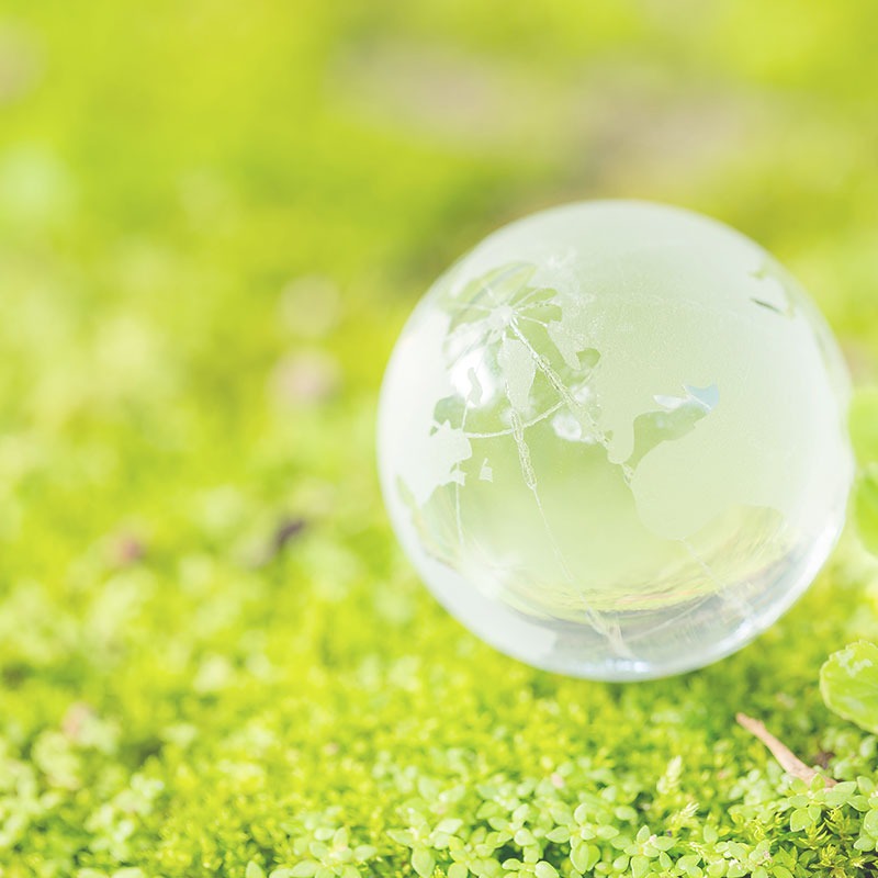 Nuestro proveedor de tejidos: Sauleda lanza Green, el primer tejido que limpia y purifica el aire mediante fotocatálisis