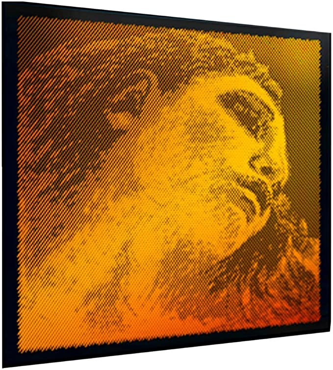 CUERDA VIOLIN - PIRASTRO EVAH PIRAZZI GOLD JUEGO