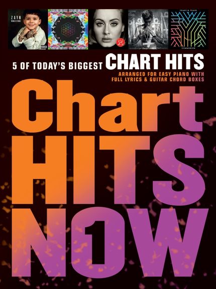 ALBUM - CHART HITS NOW 1