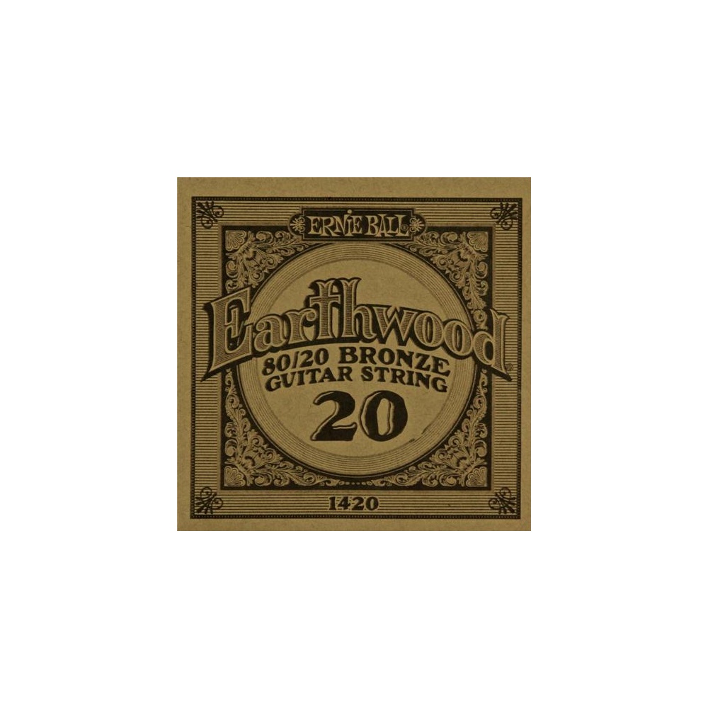 CUERDA GUITARRA ACUSTICA - ERNIE BALL EARTHWOOD BRONZE 020