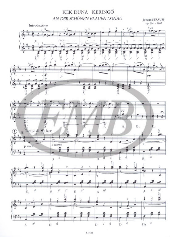 STRAUSS J. (JR) - ALBUM (PARA PIANO O ACORDEON) - 2