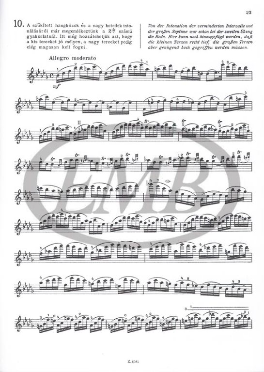 GAVINIES P. - ESTUDIOS MATINEES (24) - 5