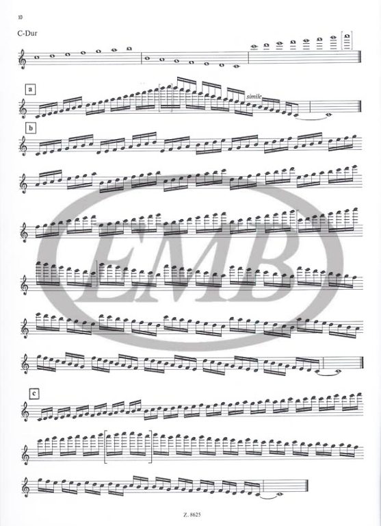 BANTAI-KOVACS - METODO DE ESCALAS V.2 - 2