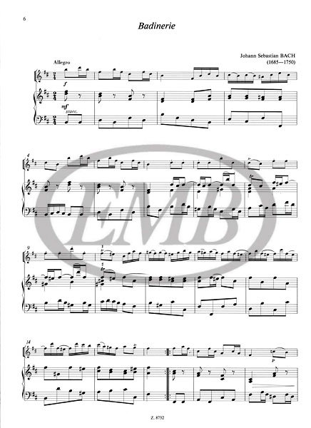 ALBUM - MUSICA PARA PRINCIPIANTES V.2 - (FLAUTA)