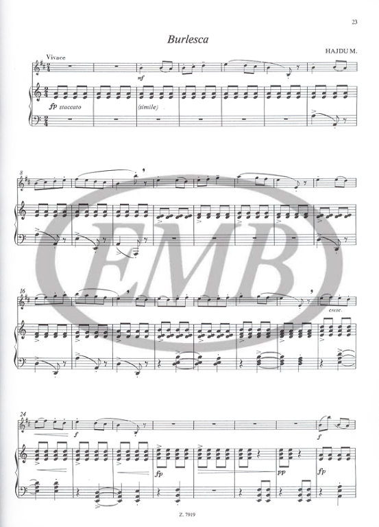 ALBUM - MUSICA PARA PRINCIPIANTES V.2 -