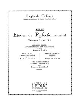 CAFFARELLI R. - ESTUDIOS PERFECCIONAMIENTO (16) -