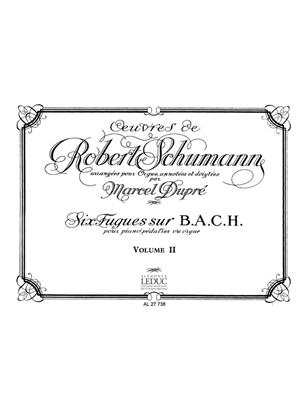 SCHUMANN R. - OBRA V.2 -