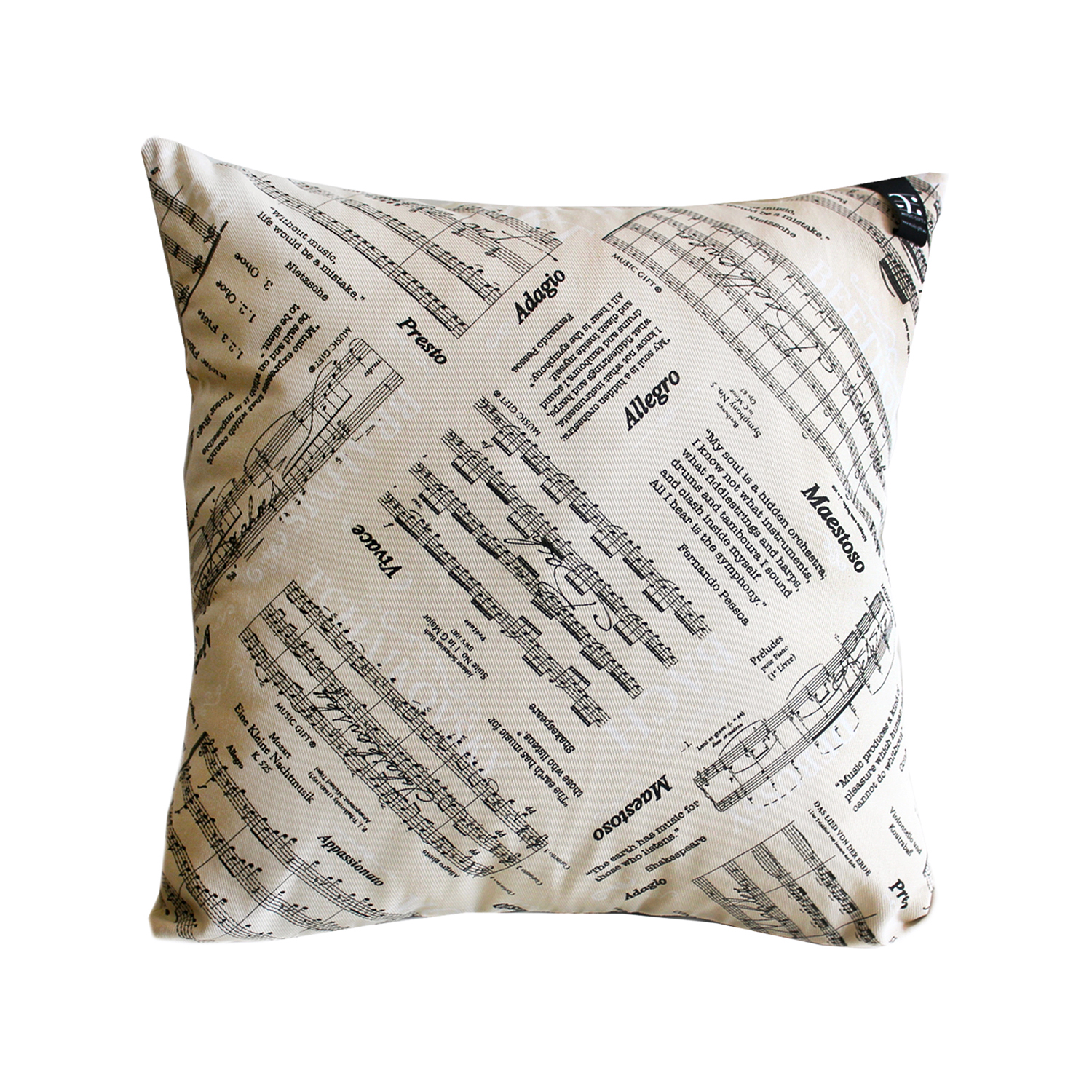 REGALO - COJIN CON MOTIVOS MUSICAES
