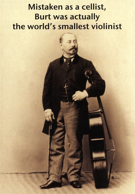 REGALO - TARJETA "Mistaken As A Cellist"