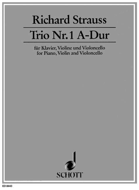 STRAUSS R. - TRIO Nº1 LA M                      V/VCP -