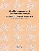 SMITH BRINDLE R. - GUITARCOSMOS V.1 -