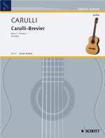 CARULLI F. - CARULLI-BREVIER V.1 -