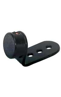 pata almohadilla - augustin