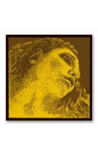 cuerda violonchelo - pirastro evah pirazzi gold 4º