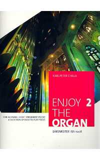 album (chilla k.p.) - enjoy the organ v.2 easy