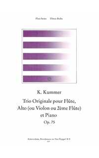 kummer k. - trio op.75 - fl/va(v o 2ºfl)/p