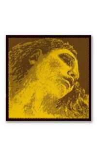 cuerda violin - pirastro evah pirazzi gold 3º re-d