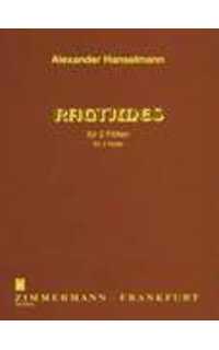 hanselmann a. - ragtimes 2 flautas