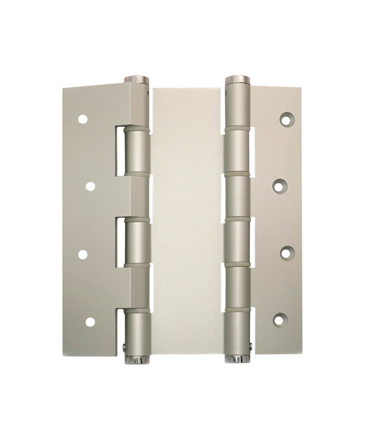 BISAGRA DOBLE ACCION (VAIVDA120 PLATA