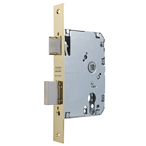 CERRADURA AFACE TESA S/BOMB.4010/P40-HL