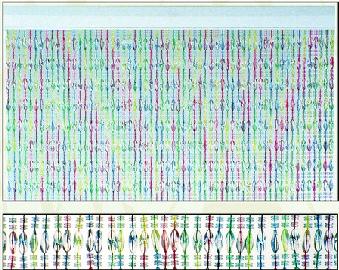 CORTINA MEDITERRANIA MULTICOLOR