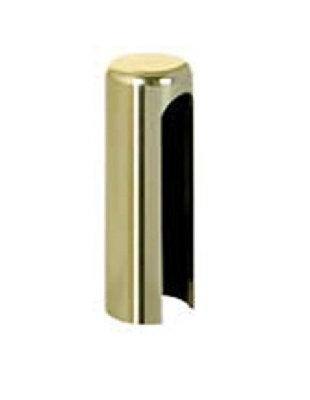 EMBELLECEDOR (A4)A37104.13.50 IZQ.DORADO