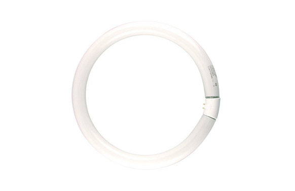 Fluorescente circular trifosld-865/22w