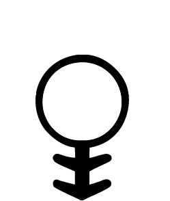 JUNTA VENT.1204081 FS1 - 8 MM  MARRON