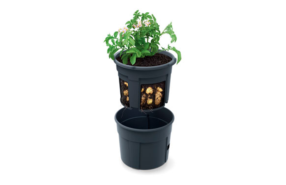 MACETA CON ESTRUCTURA PARA CULTIVAR TOMA