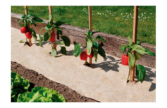 MALLA ANTIHIERBA BIODEGRAD0,49 X 3 MT