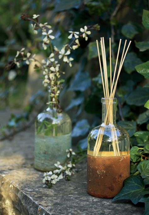 MIKADO ORGANICO      500ML ORGMIK2  CITR