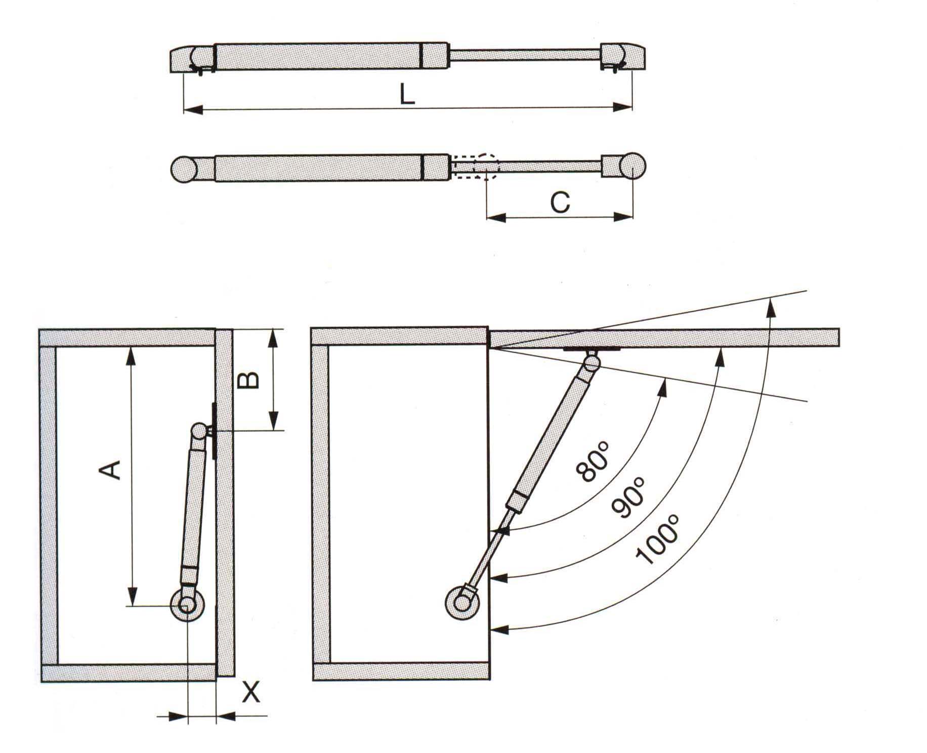 PISTON 5 KG 100MM+ENG+TOR+INS 1005925 2