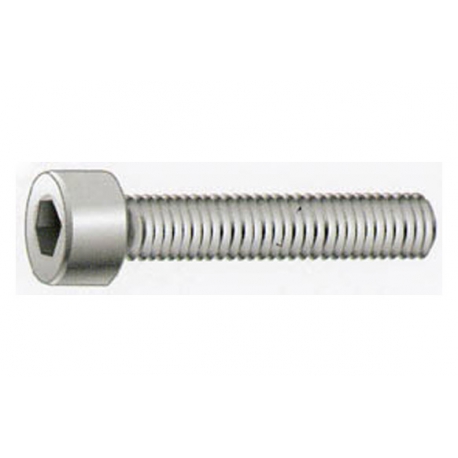 TORNILLO ALLEN DIN 912 8.8 PAVONADO 6X40 200UDS 19303 1